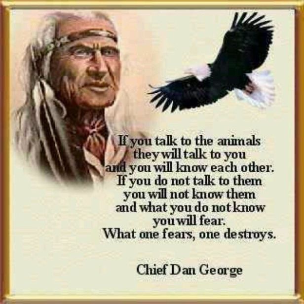 ChiefDanGeorge