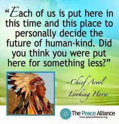 ChiefLookingHorseWeAreHereForAPurpose