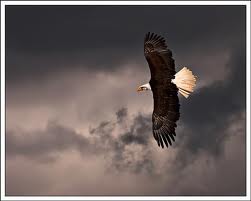 EagleFlyingAboveTheStorm