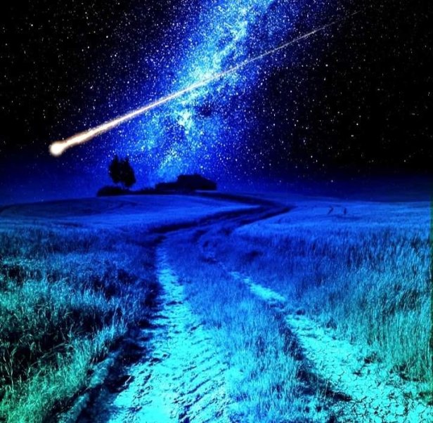 Cloud Spencer Eagle Bear Gifts in the Darkness 2