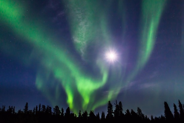 Northern-Lights-and-full-moon-Yukon-1 - Nicholas Dory