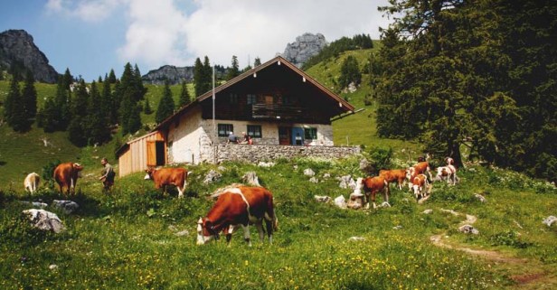 7-Practical-Ideas-for-Self-Sustaining-Homes-You-Can-Actually-Do-FB