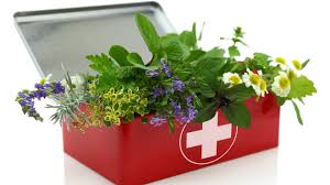 Prepper Meds