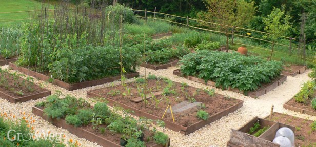 vegetable-garden-2x
