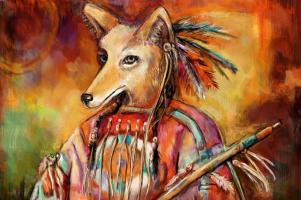 Coyote Medicine2