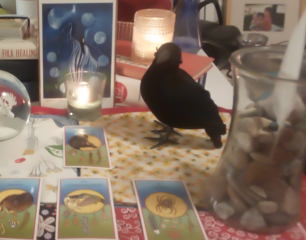 Hummingbird Medicine Card Reading (2)