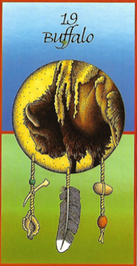 Buffalo Medicine Card