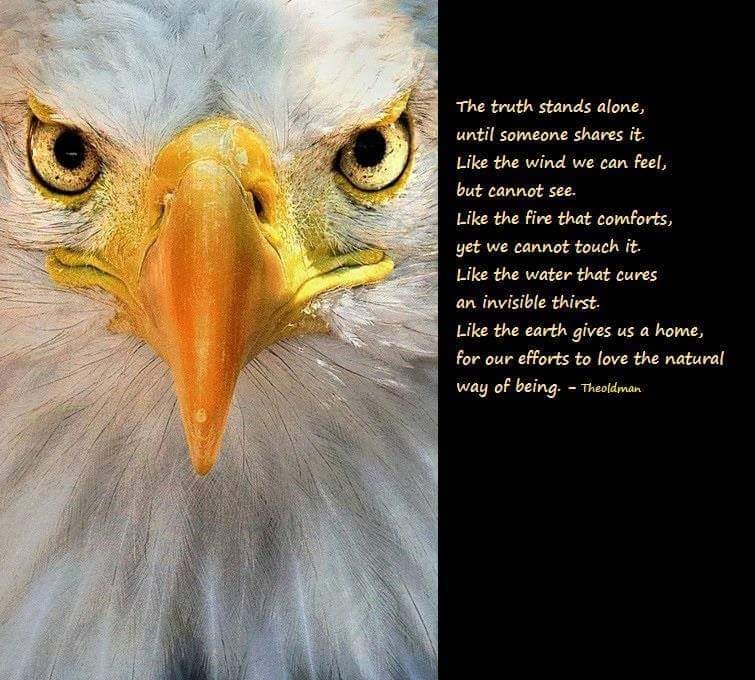 Eagle on Truth