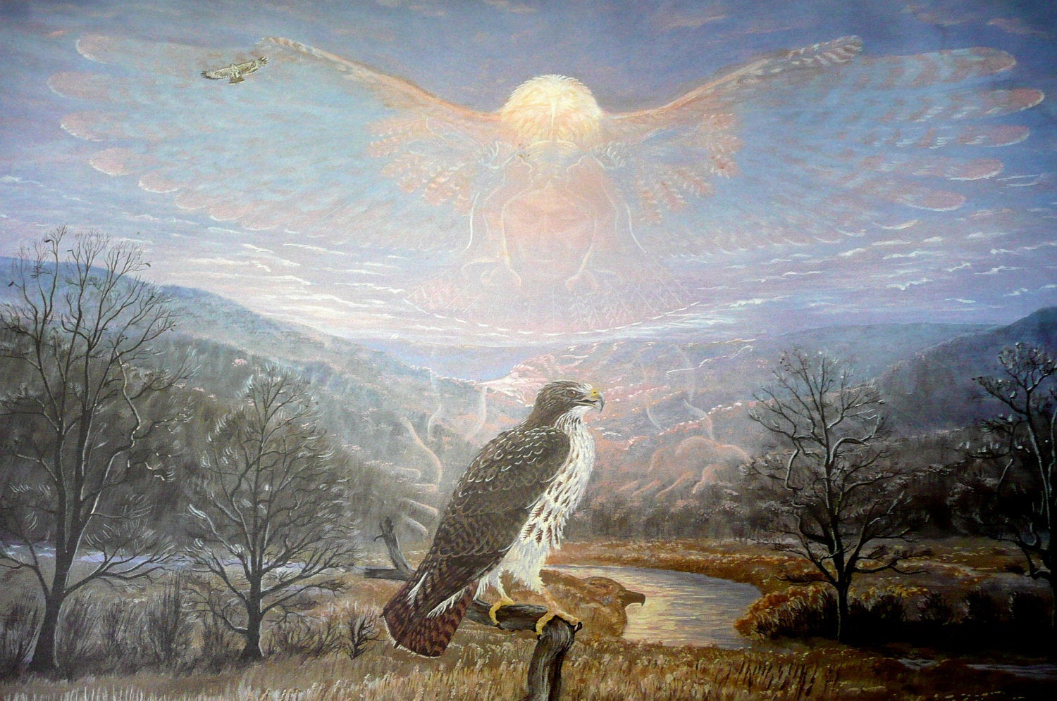 Hawks along the Mowhawk