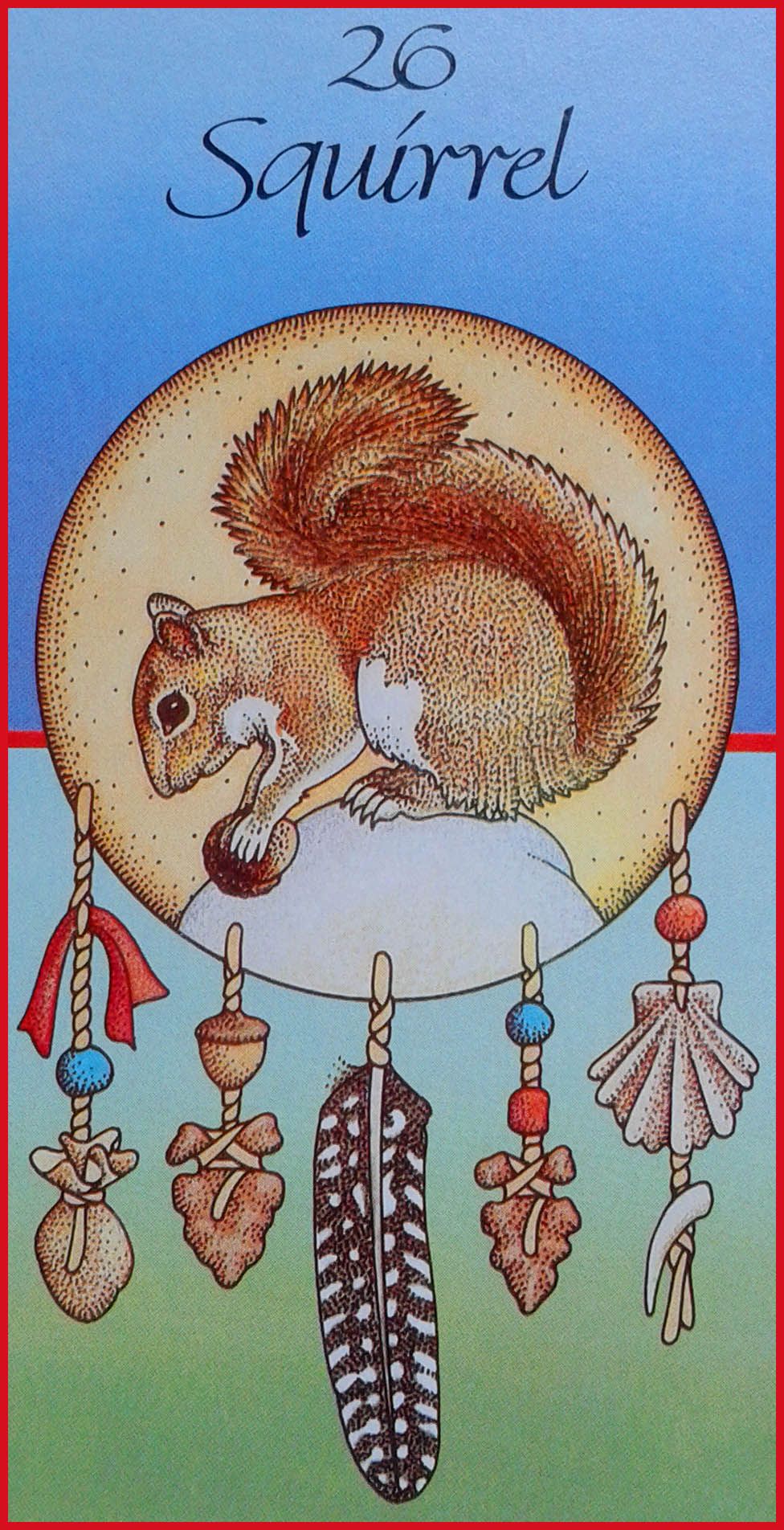 squirrel-medicine-card-1