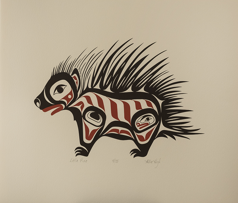 Little Pine Allie High