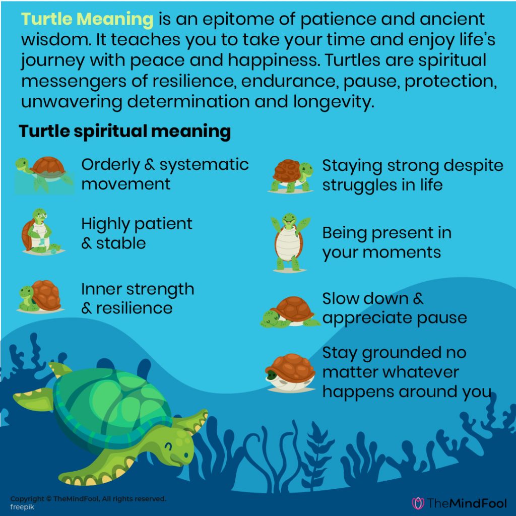 turtle-meaning-05-1024x1024