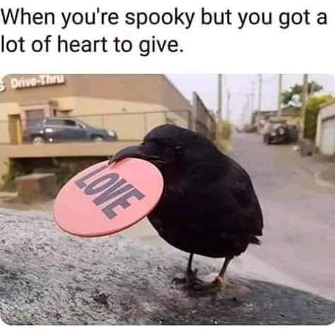 FB_IMG_1556966027443