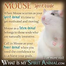 Mouse