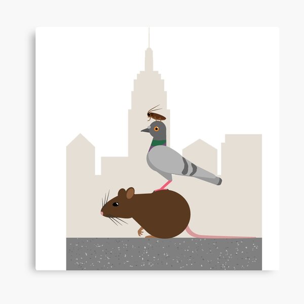 Rat Pigeon Bee Kathryn M Santos