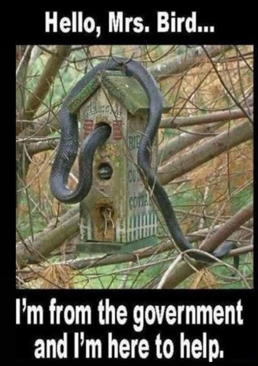 Government