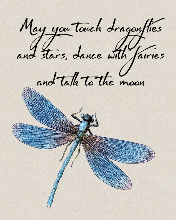 Dragonfly mystic blessing