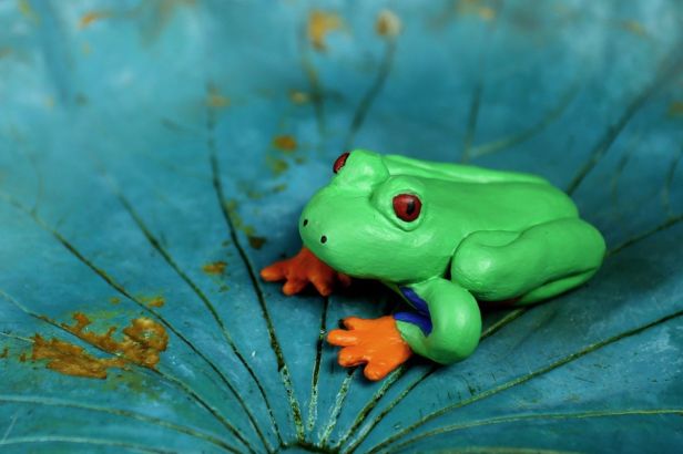 il_fullxfull.766089228_wyf8