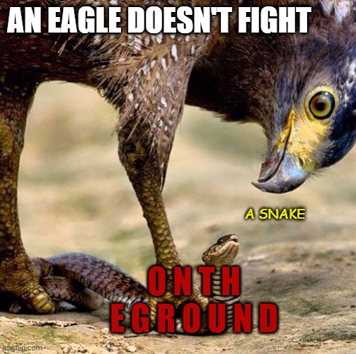 Eagle n Snake