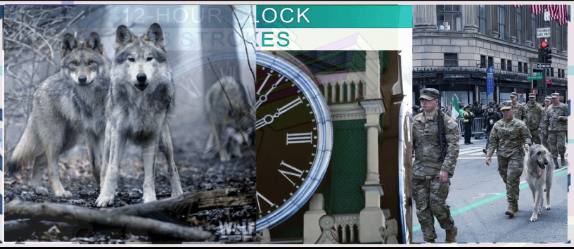 Relax - St. Paddy's Parade, NYC and Hollywood Franks